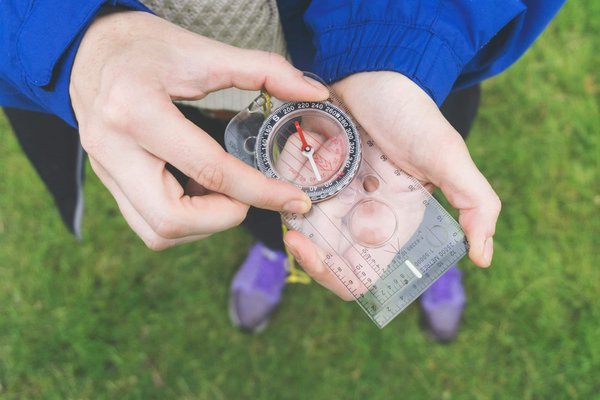 La cuisine crue : un monde de saveurs à explorer